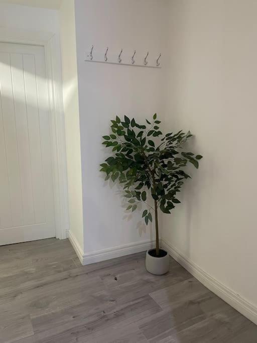 Modern 1-Bed Apartment Belfast Exterior foto